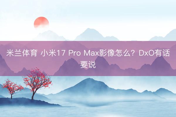 米兰体育 小米17 Pro Max影像怎么？DxO有话要说