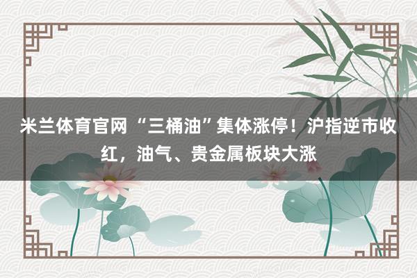 米兰体育官网 “三桶油”集体涨停！沪指逆市收红，油气、贵金属板块大涨