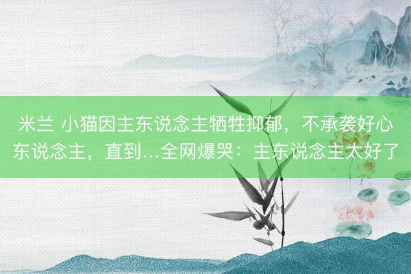 米兰 小猫因主东说念主牺牲抑郁，不承袭好心东说念主，直到…全网爆哭：主东说念主太好了